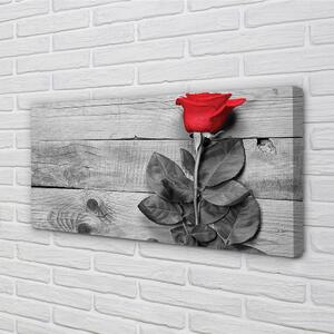 Obraz canvas Rose 100x50 cm