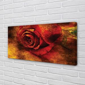 Obraz canvas rose picture 100x50 cm