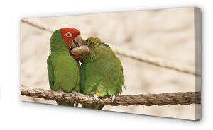 Obraz na plátne zelené papagáje 100x50 cm