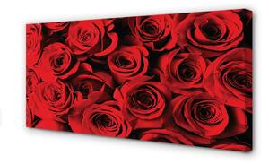 Obraz canvas ruže 100x50 cm