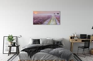 Obraz canvas poľné vresy 100x50 cm