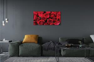Obraz canvas ruže 100x50 cm