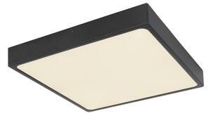 Globo 12369-30 - LED Stropné svietidlo ECHO LED/28W/230V