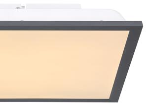 Globo 416080D1 - LED Stropné svietidlo DORO LED/12W/230V