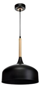 Luster na lanku TAYLOR 1xE27/60W/230V