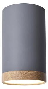LED Stropné svietidlo TUBA LED/9W/230V