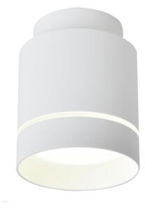 LED Stropné svietidlo TUBA LED/12W/230V