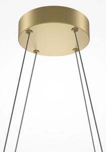 Maytoni MOD244PL-L50BSK - Závesný LED luster HALO LED/40W/230V zlatý