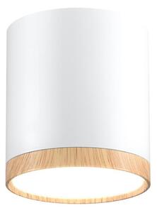 LED Stropné svietidlo TUBA LED/5W/230V biela/béžová