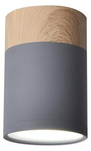Stropné svietidlo TUBA GU10/15W/230V