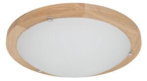Spot-Light 4753474 - Stropné svietidlo FRIDA 2xE27/40W/230V