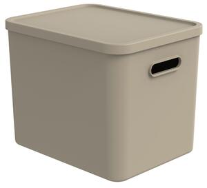 Rotho Úložný box, rovný s vekom, 27l, béžová ALBU LIGHT, 37x29x30