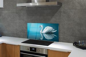 Nástenný panel  Swan vo vode 100x50 cm