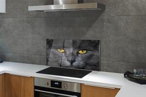 Nástenný panel  Čierna mačka 100x50 cm