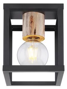 Globo 15476D - Stropné svietidlo HAGAR 1xE27/60W/230V