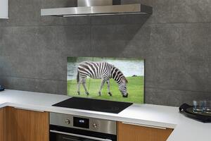 Nástenný panel  zebra 100x50 cm