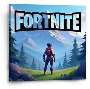 Sablio Obraz FORTNITE Horská krajina - 50x50 cm