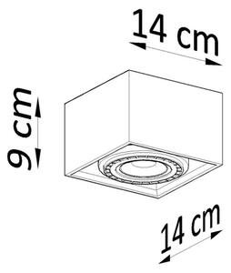 Sollux SL.0883 - Stropné svietidlo QUATRO 1xGU10/40W/230V betón
