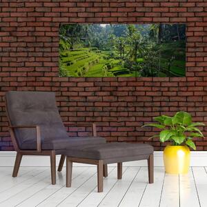 Obraz ryžových terás Tegalalang, Bali (120x50 cm)