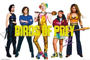 Plagát, Obraz - Birds of Prey: Podivuhodná premena Harley Quinn - Group, (91.5 x 61 cm)