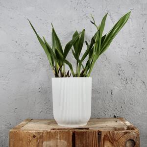 Elho plastový kvetináč Vibes Fold Orchid silky white Ø 13 cm