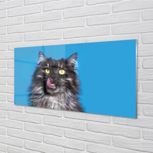Nástenný panel  Oblizujący mačka 100x50 cm