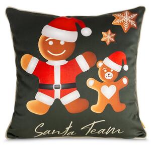 Metráž VIANOČNÁ OBLIEČKA NA VANKÚŠ GINGER 03 60X60 ZEL