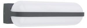 Globo 34174W1 - LED Vonkajšie nástenné svietidlo HONNA LED/20W/230V IP54