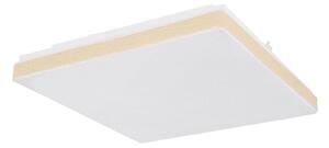 Globo 48296W - LED Stropné svietidlo RAINA LED/12W/230V