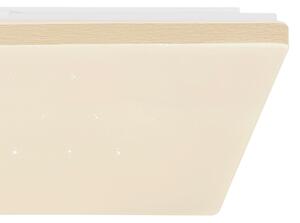 Globo 48025WSH - LED Stmievateľné stropné svietidlo LED/24W/230V Wi-Fi Tuya + DO