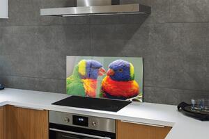 Nástenný panel  farebný papagáj 100x50 cm
