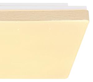 Globo 48296W - LED Stropné svietidlo RAINA LED/12W/230V