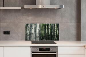 Nástenný panel  brezového lesa 100x50 cm