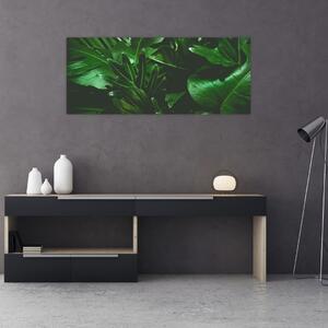 Obraz - Palmové listy (120x50 cm)