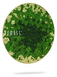 Machový obraz kruh BEMOSS® SPLASH Green