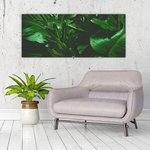 Obraz - Palmové listy (120x50 cm)