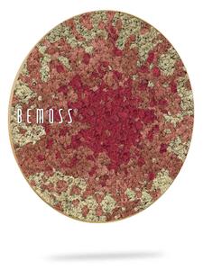 Machový obraz kruh BEMOSS® SPLASH Pink