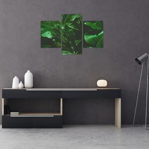 Obraz - Palmové listy (90x60 cm)