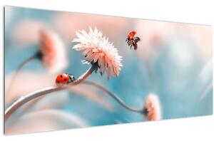 Obraz - Lienky na kvete (120x50 cm)
