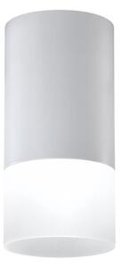 Bodové svietidlo TUBA 1xGU10/15W/230V šedá/biela