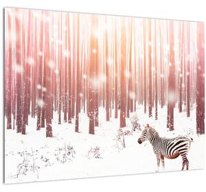 Obraz - Zebra v zasneženom lese (70x50 cm)
