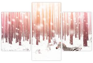 Obraz - Zebra v zasneženom lese (90x60 cm)