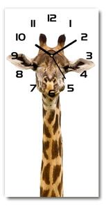Moderné hodiny nástenné Žirafa pl_zsp_30x60_c-f_53003309