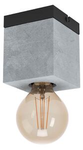 Eglo 43595 - Stropné svietidlo PRESTWICK 1xE27/40W/230V