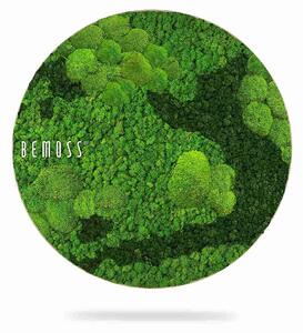Machový obraz kruh BEMOSS® ORTHO CORCON - Priemer 40 cm
