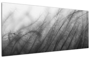 Obraz - Tráva vo vetre (120x50 cm)