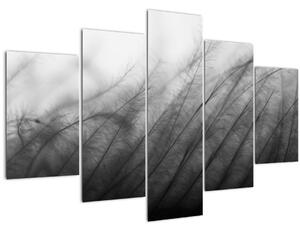 Obraz - Tráva vo vetre (150x105 cm)