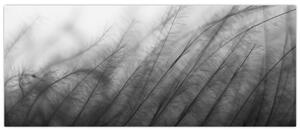 Obraz - Tráva vo vetre (120x50 cm)