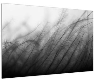 Obraz - Tráva vo vetre (90x60 cm)