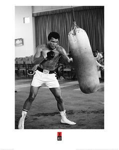Umelecká tlač Muhammad Ali - Punch Bag, (60 x 80 cm)
